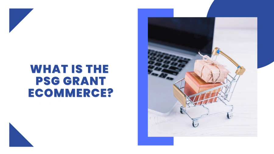 what is the psg grant ecommerce